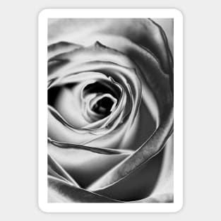 Rose Sticker